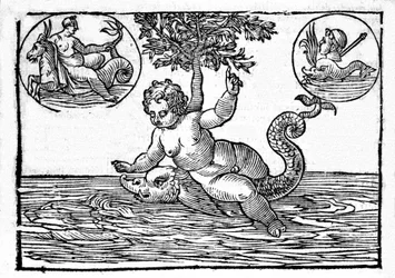 Reprezentacja Ino, boga morza, i jego syna Palemona. Grawer z „Mitologii i bajek” hrabiego Natalii 1637