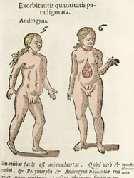Przedstawienie androgyna i hermafrodyty. Tablica z De natura divinis caracteris Cornelia Gemmy, 1575