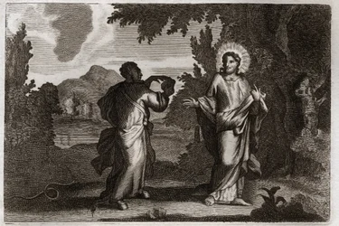 Biblia Royaumont, Nowy Testament: Jezus Chrystus na pustyni. Jezus zostaje wypędzony na pustynię. Młody czterdzieści dni i czterdzieści nocy. Jest kuszony przez demona, który zaprasza go do zamiany kamieni w chleb. Ilustracja z 1811 roku.