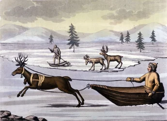 Lapończycy: rdzenni mieszkańcy krajów północnych (Norwegia, Finlandia, Szwecja i Rosja) poruszają się na sankach z reniferami lub na nartach. Rycina XIX wieku