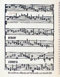 Strona z nutami do opracowań i dokumentów muzykologicznych autorstwa Nicola Burzio