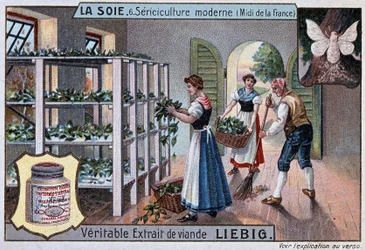 Jedwab: warsztat jedwabiu na południu Francji, reklama Liebiga, t. 1895
