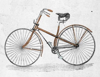 Model rowerowy o prostym korpusie.