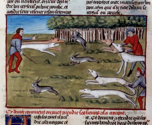 Miniatura polowania na zająca z „Księgi łowów” Gastona III Phoebusa, hrabiego Foix, lorda Bearn (1331-1391)