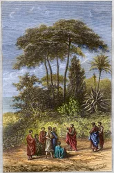 Szkoła Pitagorasa - Pitagoras wśród jego uczniów w Krotonie - rycina 1879 - Filozof Pitagoras i jego uczniowie pod cieniowaniem Crotone, rycina 1879