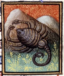 Skorpion. Miniatura horoskopu. Rękopis z XV wieku. Biblia Trivulziana, Mediolan.