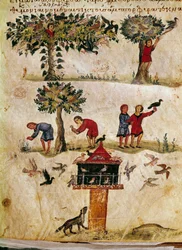 Hodowla i tresura miniaturowych sokołów z polowania „Cynegetics” Oppian (Oppian lub Oppianus) z Syrii (III wne) poświęcony Karakalli. Wenecja z XI wieku. Biblioteca Marciana