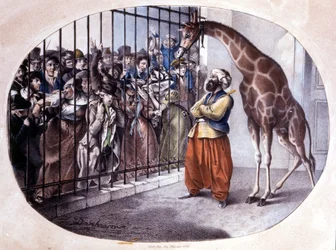 Zaciekawiony tłum rzucił się, by zobaczyć żyrafę za bramą. Litografia autorstwa Danhaarena. 1829