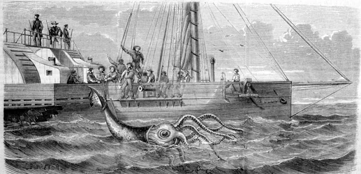 Pierwsza kałamarnica olbrzymia schwytana w 1861 roku przez francuską korwetę Alecton. Gdy załoga podnosiła ją na pokład, przełamała się na pół i zniknęła na dnie morza. Rycina z końca XIX wieku. Breton