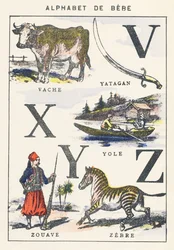 V X Y Z: krowa, żółtko, żouaw, zebra