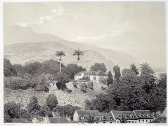 Widok na domy z Boulevard de la Comedie w Saint Pierre na Martynice na Antylach. Druk po fotografii z końca XIX wieku Chartres musee des Beaux Arts