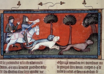 Miniatura Polowania na Wilka z rękopisu ks. 1297 „” księga Króla Modusa i Królowej Ratio” Henri de Ferrieres (XIV wiek)