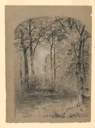 Rysunek, Studium lasu, 1865-70