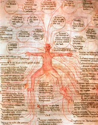 Wykres anatomiczny ilustrujący krążenie krwi Miniatura z rękopisu „De surgia”” XIII-wieczna Wenecja Biblioteca Marciana