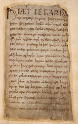 Cotton Vitellius A.XV..132 O começo de Beowulfpolish