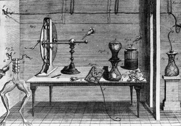 Ilustracja eksperymentów Luigiego Galvani, włoskiego fizyka i lekarza (1737 - 1798) wyjaśniających przepływ prądu elektrycznego poruszającego nogami żaby.