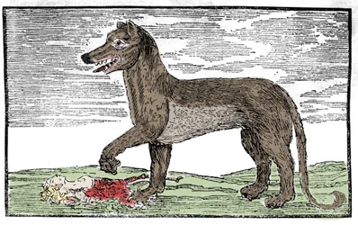 La bete du Gevaudan Rycina z „Kroniki św. Jakuba”