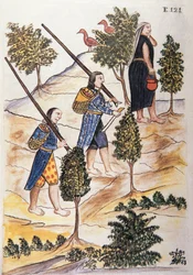 Indianie Motilones wyruszający na polowanie, z książki „Trujillo del Peru” lub „Códice Martínez Compañón”, autorstwa Baltazara Martineza Compañón y Bujanda, biskupa Trujillo (1782-1785)