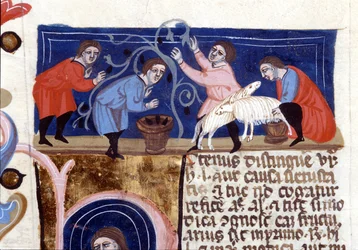Zbieranie owoców i dojenie owiec. Rękopis z XIV wieku. Biblioteca Nazionale Braidense, Mediolan.