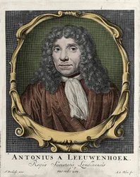 Portret Antonie Van Leeuwenhoek lub Antona van Leeuwenhoek lub Leeuwenhoek lub Leeuwenhoeck. Holenderski przyrodnik (1632-1723). grawerunek z 1722 roku.