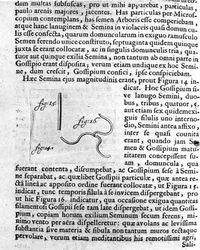 Reprezentacja nasion drzewa owocowego Opis dokonany przez holenderskiego kupca i naukowca Antoine van Leeuwenhoek (lub Leeuvenhoek Leeuwenhoeck) (lub Antoni lub Anthonie) (1632-1723). Grawer z „Investigatio Arcanorum” 1722