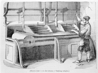 Royal Tobacco Factory: Hurtowe przesiewanie tytoniu. Grawerowanie z XIX wieku.