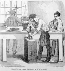 Royal Tobacco Manufacture: worek tytoniu. Grawerowanie z XIX wieku.