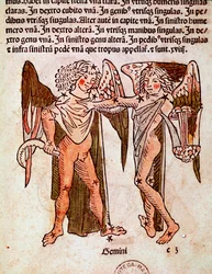 Konstelacja Gemeaux Detail wywodzi się z konstelacji Bliźniąt (bliźniaków), przypisywanej rzymskiemu historykowi Hyginusowi (Gaius Julius Hyginus) (I wiek p.n.e.).