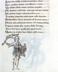 Przedstawiona konstelacja to konstelacja Bouvier (lub Buta), która podtrzymuje włosy Bereniki lewą ręką. Strona z XVIII-wiecznego rękopisu opartego na oryginalnym rękopisie „Astronomica” Biasino da Parmy (Blaise of Parma) (1425-1457) datowanego