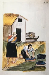 Barwienie wełny, z książki „Trujillo of Peru” lub „Codex Martinez Companion”, autorstwa Baltazara Martineza Companion i Bujandy, biskupa Trujillo (1782-1785)