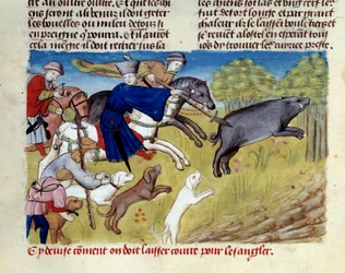 Miniaturowe polowanie na dzika z „Księgi łowieckiej” Gastona III Phoebusa, hrabiego Foix, Lorda Bearn (1331-1391)