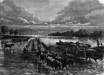Transport beczek z ropą do Oil Creek, Pensylwania, USA