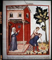 Traktat lekarski „Tacuinum sanitatis” z XIV wieku: wymioty. BN, Wiedeń.