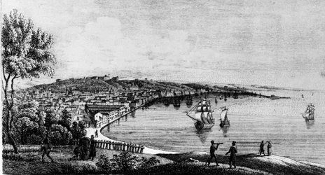 Widok na port miasta Triest (w okresie austriackim), rycina z XIX wieku.
