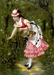 Młoda kobieta zbieranie kwiatów. Chromolitografia/