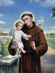 pobożny wizerunek: przedstawienie św. Antoniego Padewskiego (Antonio di padova) zwanego Taumaturgą (1195-1231).