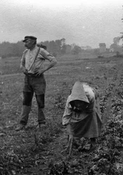 Couple de peasants working la terre, Somme 1921 Fotografia (Francuscy chłopi pracujący na polach, Somme 1921) Kolekcja prywatna