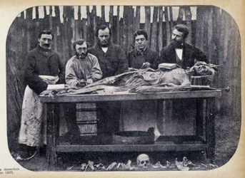 Rozbiór, v.1865.