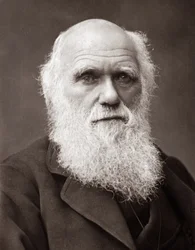 Angielski przyrodnik Charles Robert Darwin (1809-1882)
