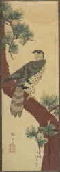 (Hawk on Pine Branch, lato), wrzesień 1853