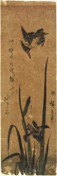 (Irys i zimorodek), 1830-1858