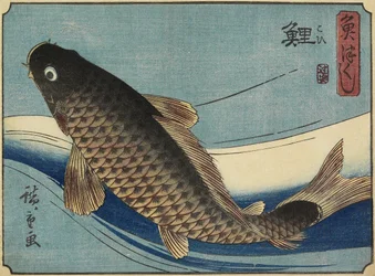 Karp, 1830-1844