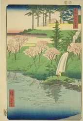 Staw Chiyogaike, Meguro (Meguro Chiyogaike), z serii „jeden finansowany ojcowie meisho edo hyakkei”