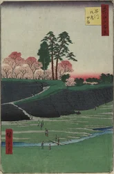 Ogród Gotenyama, Shinagawa, Appli 1856