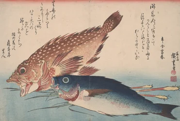 Kasago, Isaki i Ginger, 1832