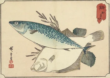 Makrela i halibut, początek XIX wieku