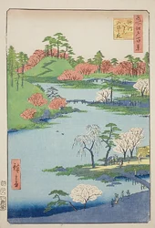 Otwarcie ogrodu w świątyni Fukagawa Hachiman (Fukagawa Hachiman yamabiraki), nr 68 z serii "Sto słynnych widoków Edo (Meisho Edo hyakkei)".
