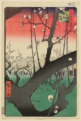 Sad śliwowy, Kameido