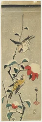 Wróble i Śnieżna Kamelia, 1837-1848