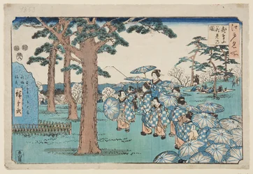 Wiśniowy widok na wzgórzu Asuka (Asukayama hanami no zu) (kolorowy drzeworyt)